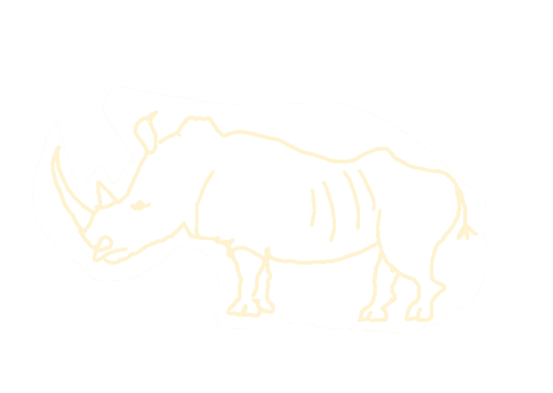 white rhino.